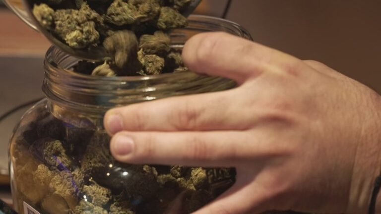 Texas Us senate developments hemp-derived THC items restriction, entrepreneur presses back