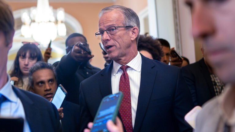 Us senate Republicans head to White Home amidst standstill on closure