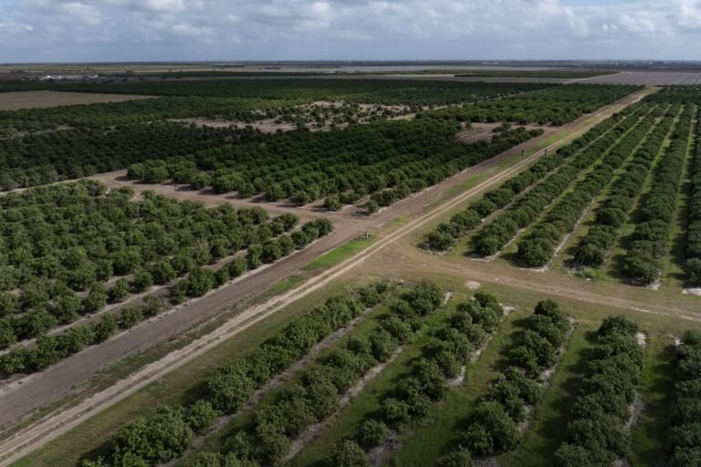 Penalize Mexico for missing out on water due date