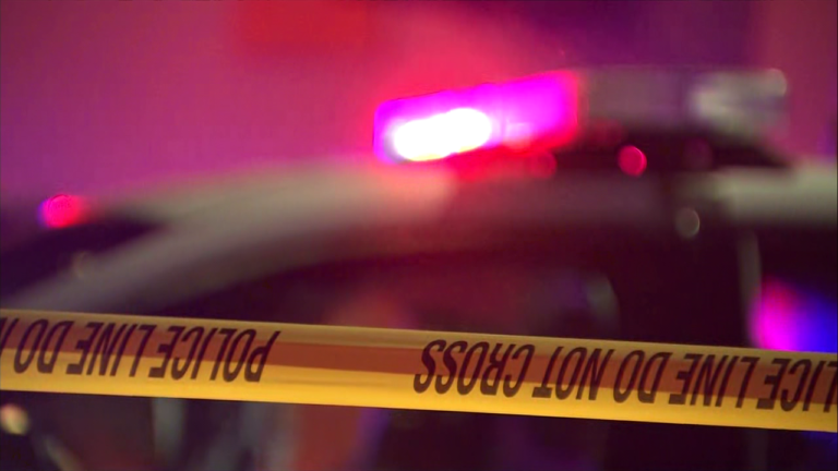 1 apprehended, 1 harmed in capturing at Austin Central Collection