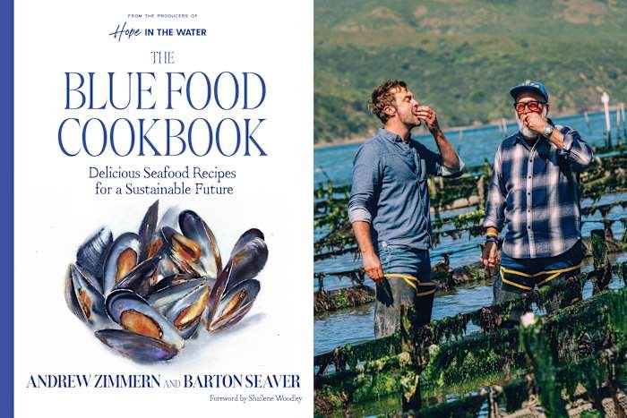 A brand-new ‘Blue Food’ recipe book champs fish and various other fish and shellfish for any type of dish
