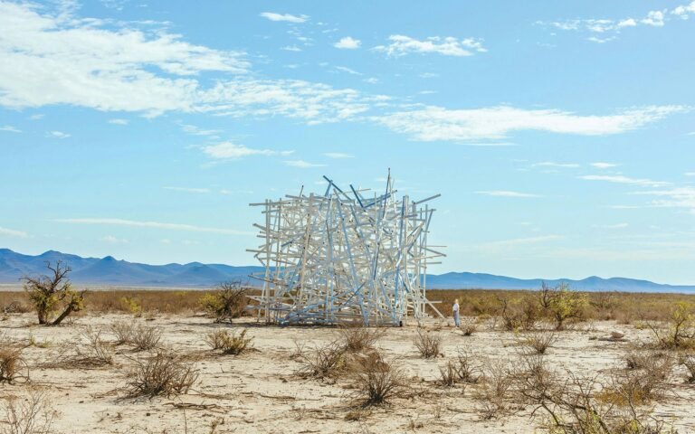 Matthew Gray’s West Texas Art Is as Prickly as Every Little Thing Else Out There